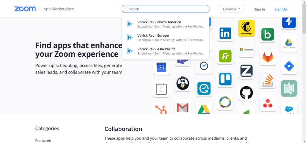 screenshot of Zoom interface